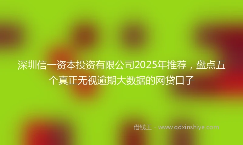深圳信一资本投资有限公司2025年推荐，盘点五个真正无视逾期大数据的网贷口子