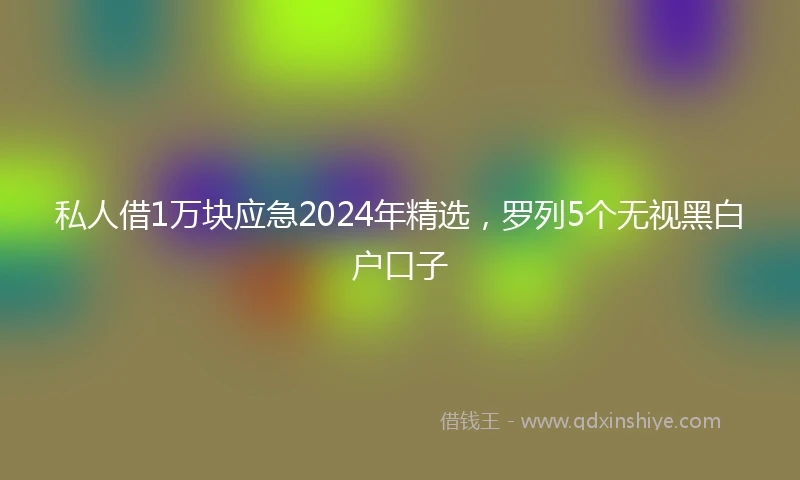 私人借1万块应急2024年精选，罗列5个无视黑白户口子