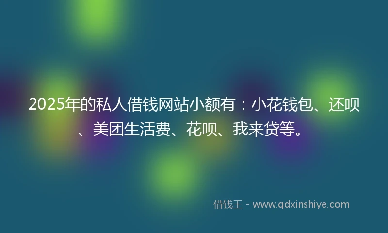 2025年的私人借钱网站小额有：小花钱包、还呗、美团生活费、花呗、我来贷等。