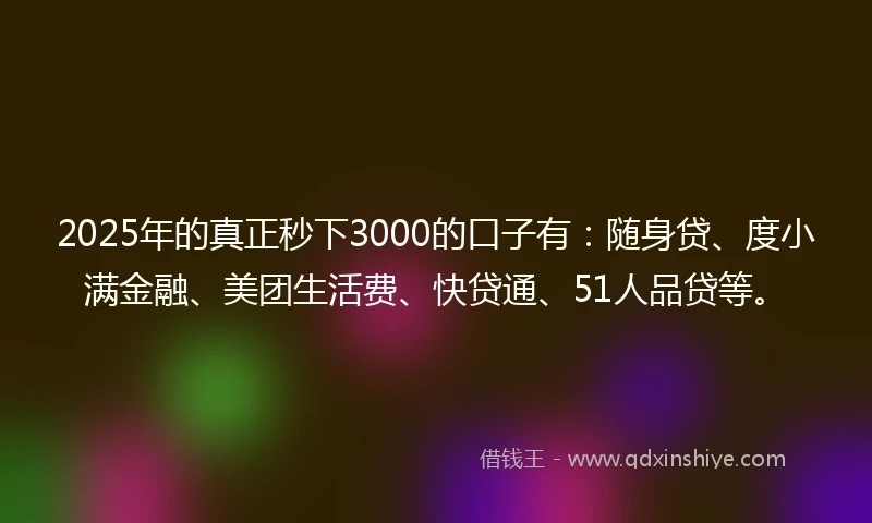 2025年的真正秒下3000的口子有：随身贷、度小满金融、美团生活费、快贷通、51人品贷等。