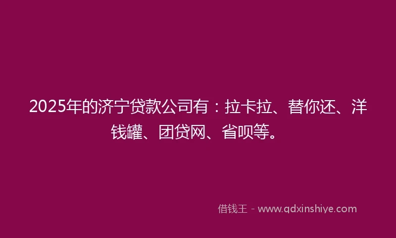 2025年的济宁贷款公司有：拉卡拉、替你还、洋钱罐、团贷网、省呗等。