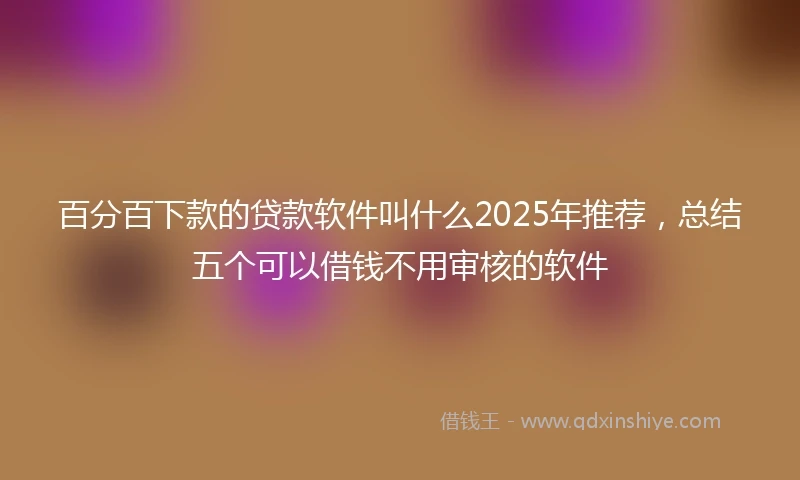 百分百下款的贷款软件叫什么2025年推荐，总结五个可以借钱不用审核的软件