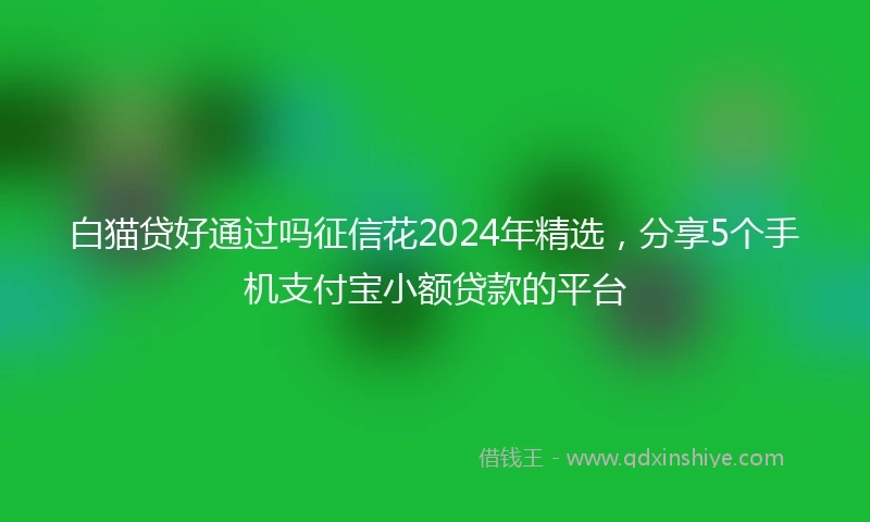 白猫贷好通过吗征信花2024年精选，分享5个手机支付宝小额贷款的平台