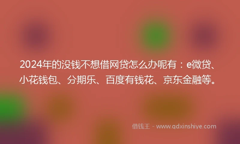 2024年的没钱不想借网贷怎么办呢有：e微贷、小花钱包、分期乐、百度有钱花、京东金融等。