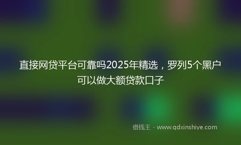 直接网贷平台可靠吗2025年精选，罗列5个黑户可以做大额贷款口子