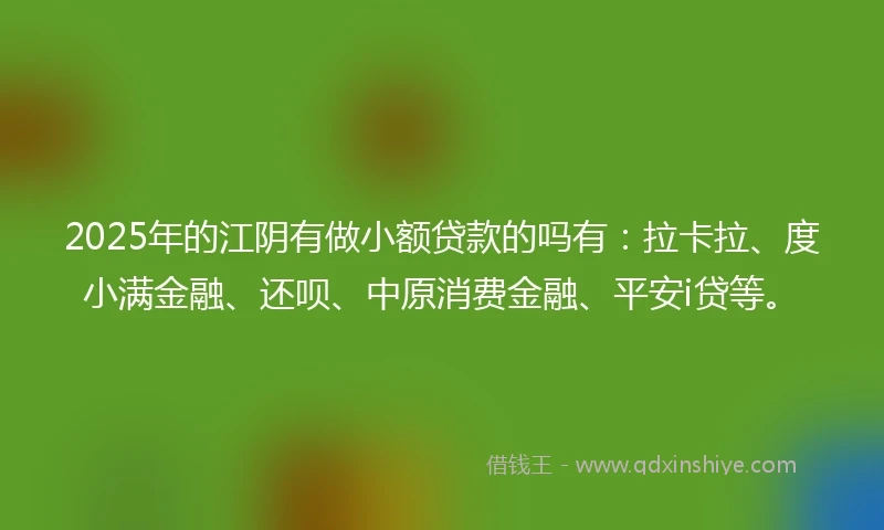 2025年的江阴有做小额贷款的吗有：拉卡拉、度小满金融、还呗、中原消费金融、平安i贷等。