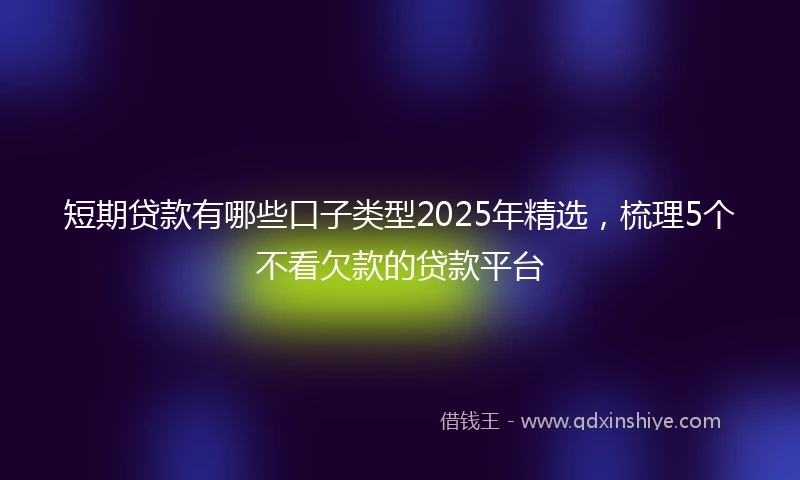 短期贷款有哪些口子类型2025年精选，梳理5个不看欠款的贷款平台