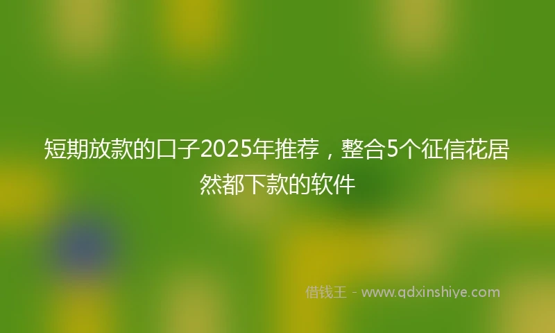 短期放款的口子2025年推荐，整合5个征信花居然都下款的软件