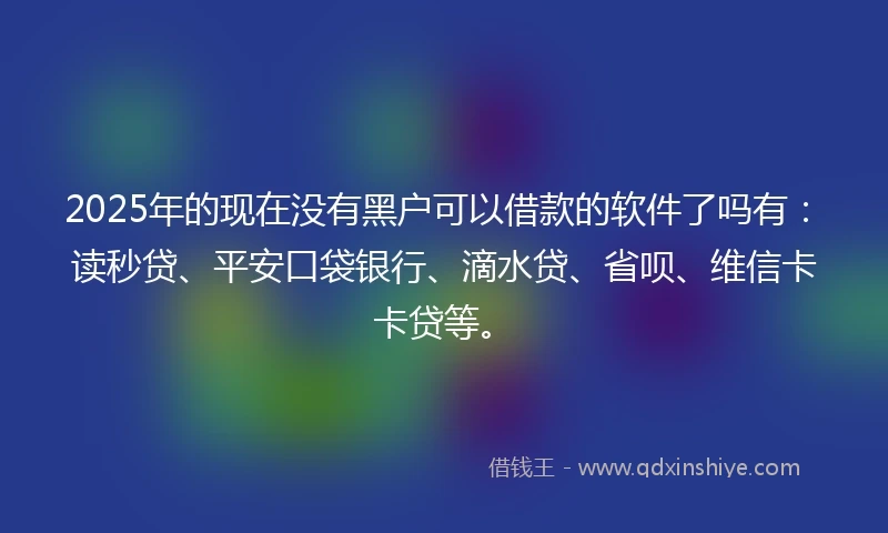 2025年的现在没有黑户可以借款的软件了吗有：读秒贷、平安口袋银行、滴水贷、省呗、维信卡卡贷等。