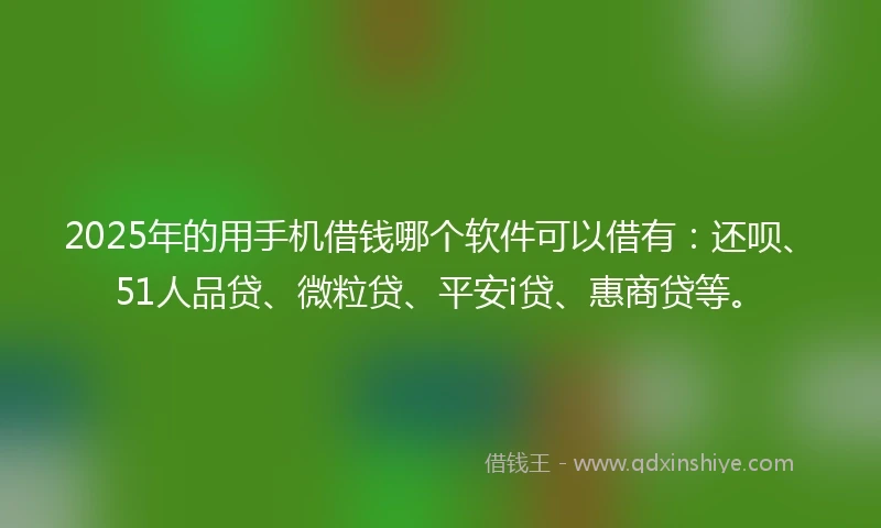 2025年的用手机借钱哪个软件可以借有：还呗、51人品贷、微粒贷、平安i贷、惠商贷等。