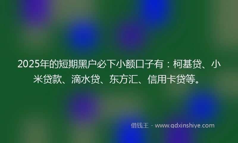 2025年的短期黑户必下小额口子有:柯基贷、小米贷款、滴水贷、东方汇、信用卡贷等。