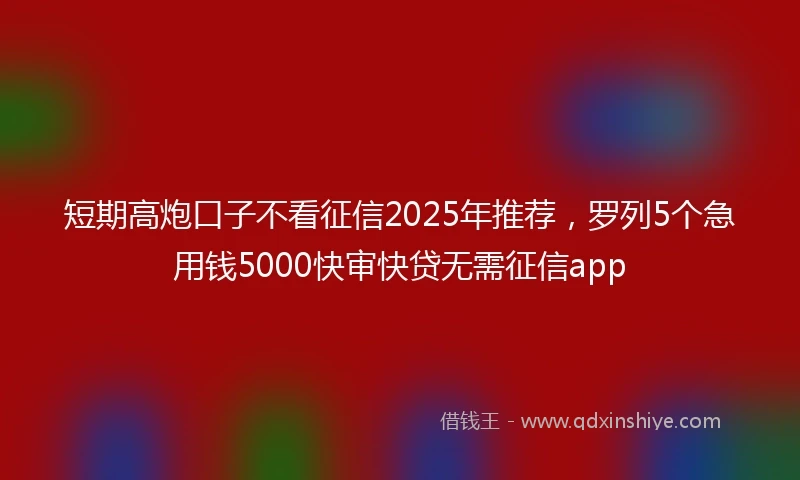 短期高炮口子不看征信2025年推荐，罗列5个急用钱5000快审快贷无需征信app