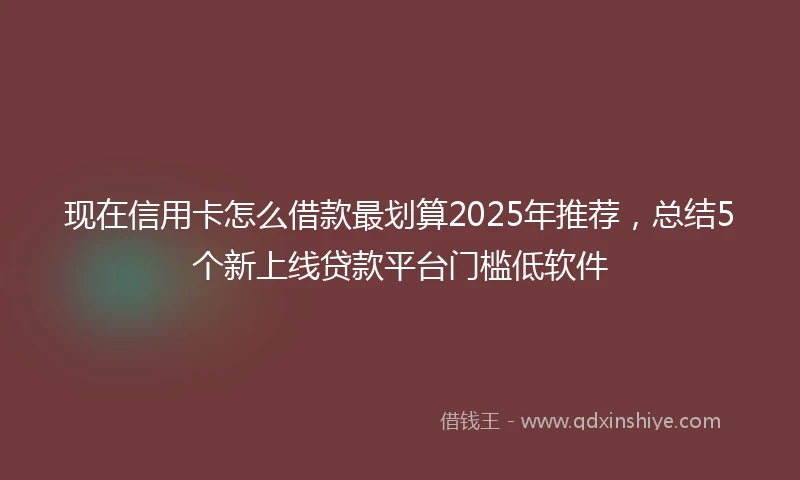 现在信用卡怎么借款最划算2025年推荐，总结5个新上线贷款平台门槛低软件