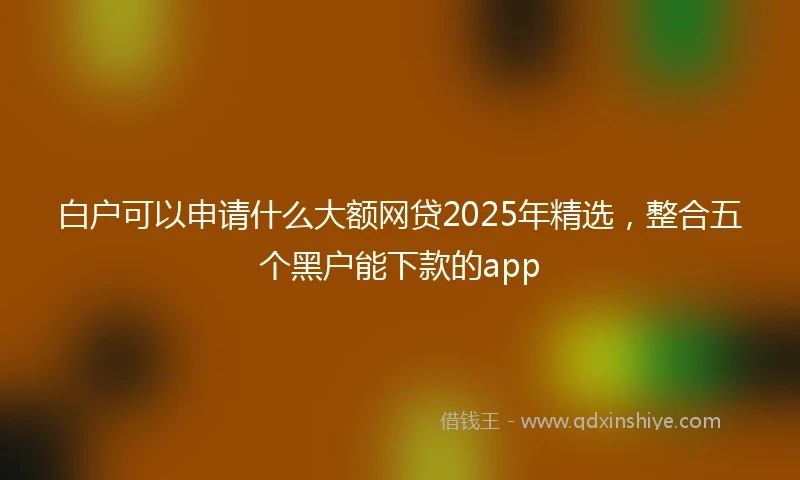白户可以申请什么大额网贷2025年精选，整合五个黑户能下款的app