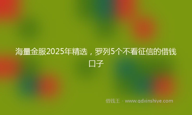 海量金服2025年精选，罗列5个不看征信的借钱口子