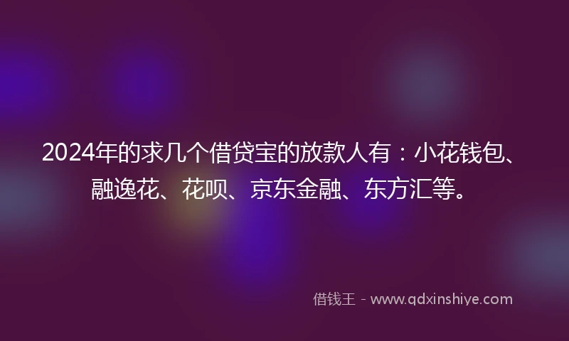 2024年的求几个借贷宝的放款人有：小花钱包、融逸花、花呗、京东金融、东方汇等。