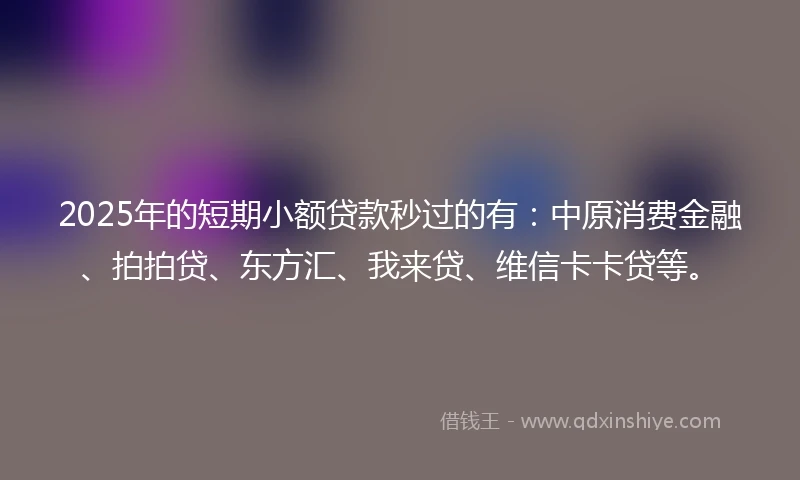 2025年的短期小额贷款秒过的有：中原消费金融、拍拍贷、东方汇、我来贷、维信卡卡贷等。