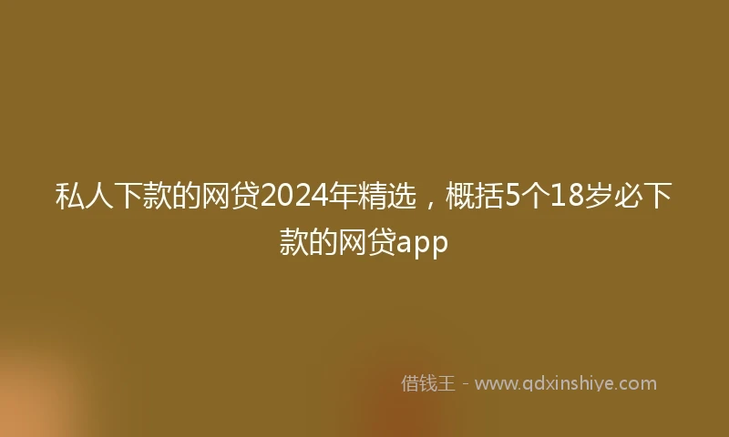 私人下款的网贷2024年精选，概括5个18岁必下款的网贷app