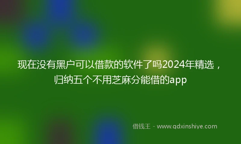 现在没有黑户可以借款的软件了吗2024年精选，归纳五个不用芝麻分能借的app