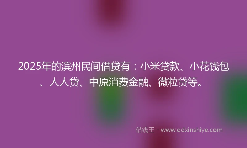 2025年的滨州民间借贷有：小米贷款、小花钱包、人人贷、中原消费金融、微粒贷等。