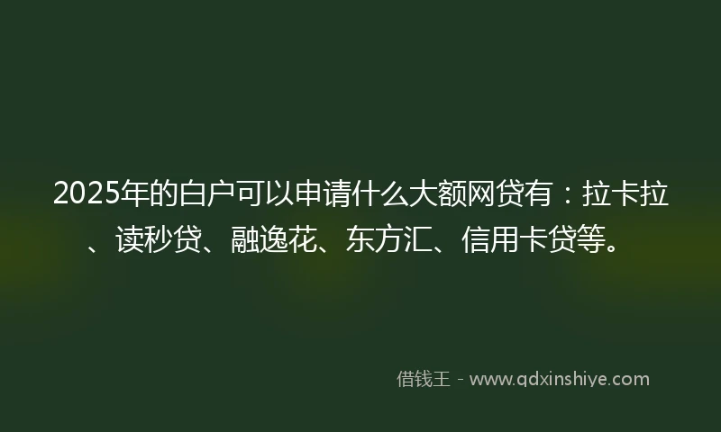 2025年的白户可以申请什么大额网贷有：拉卡拉、读秒贷、融逸花、东方汇、信用卡贷等。