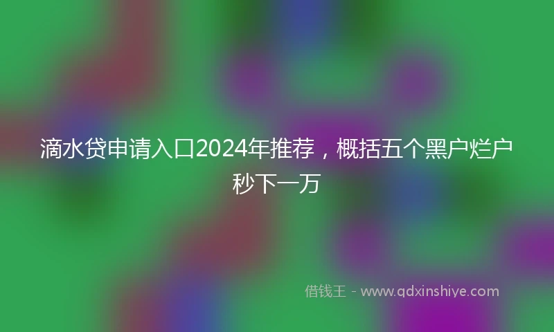 滴水贷申请入口2024年推荐，概括五个黑户烂户秒下一万
