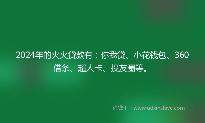 2024年的火火贷款有：你我贷、小花钱包、360借条、超人卡、投友圈等。