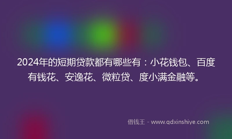 2024年的短期贷款都有哪些有：小花钱包、百度有钱花、安逸花、微粒贷、度小满金融等。