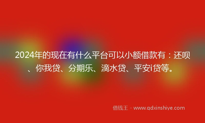 2024年的现在有什么平台可以小额借款有：还呗、你我贷、分期乐、滴水贷、平安i贷等。