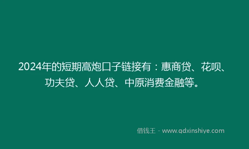 2024年的短期高炮口子链接有：惠商贷、花呗、功夫贷、人人贷、中原消费金融等。