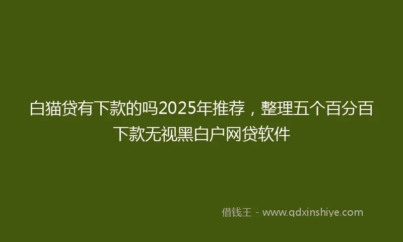 白猫贷有下款的吗2025年推荐，整理五个百分百下款无视黑白户网贷软件