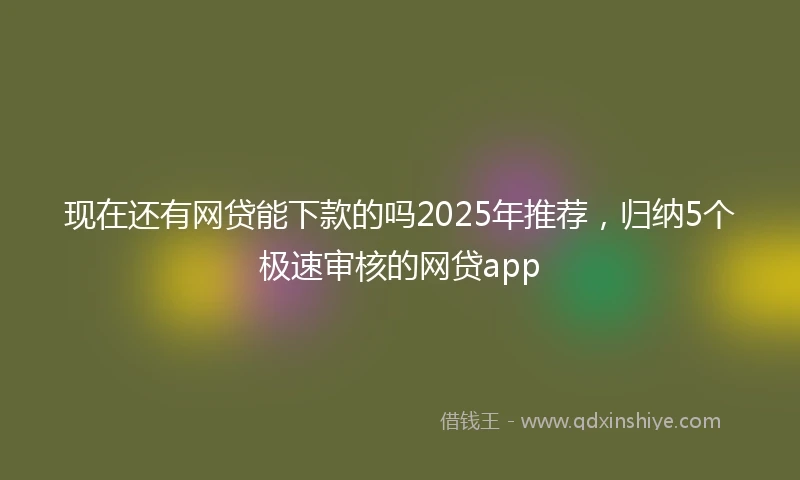 现在还有网贷能下款的吗2025年推荐，归纳5个极速审核的网贷app