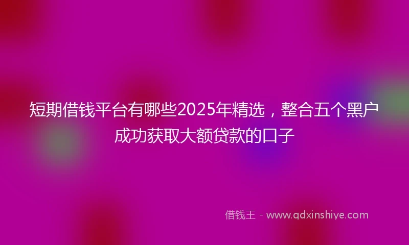 短期借钱平台有哪些2025年精选，整合五个黑户成功获取大额贷款的口子