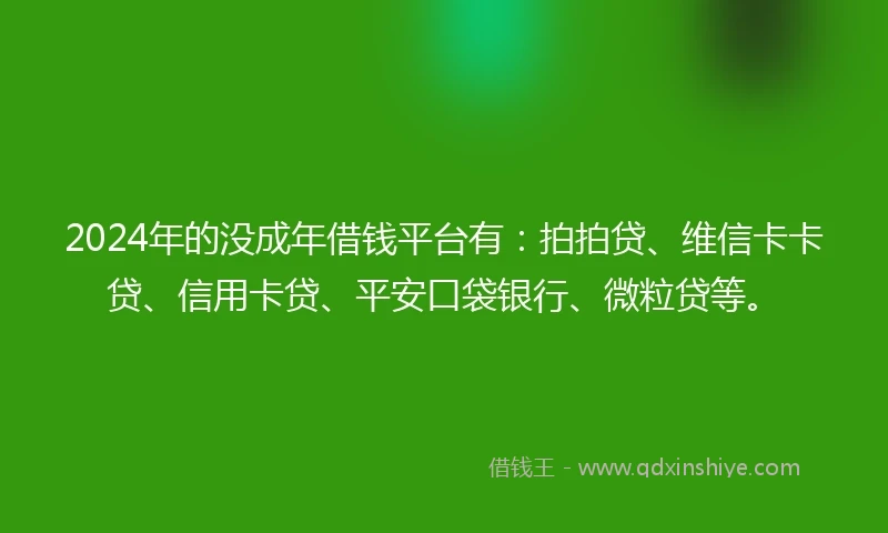 2024年的没成年借钱平台有：拍拍贷、维信卡卡贷、信用卡贷、平安口袋银行、微粒贷等。