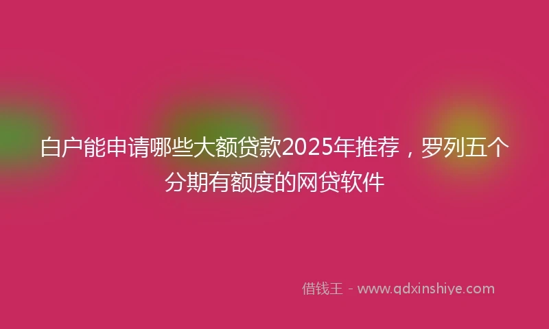 白户能申请哪些大额贷款2025年推荐，罗列五个分期有额度的网贷软件