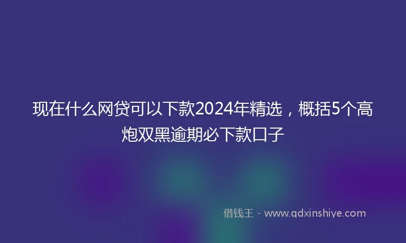 现在什么网贷可以下款2024年精选，概括5个高炮双黑逾期必下款口子