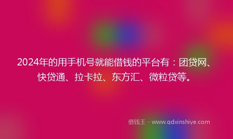 2024年的用手机号就能借钱的平台有：团贷网、快贷通、拉卡拉、东方汇、微粒贷等。