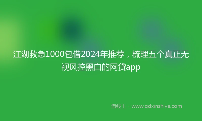 江湖救急1000包借2024年推荐，梳理五个真正无视风控黑白的网贷app