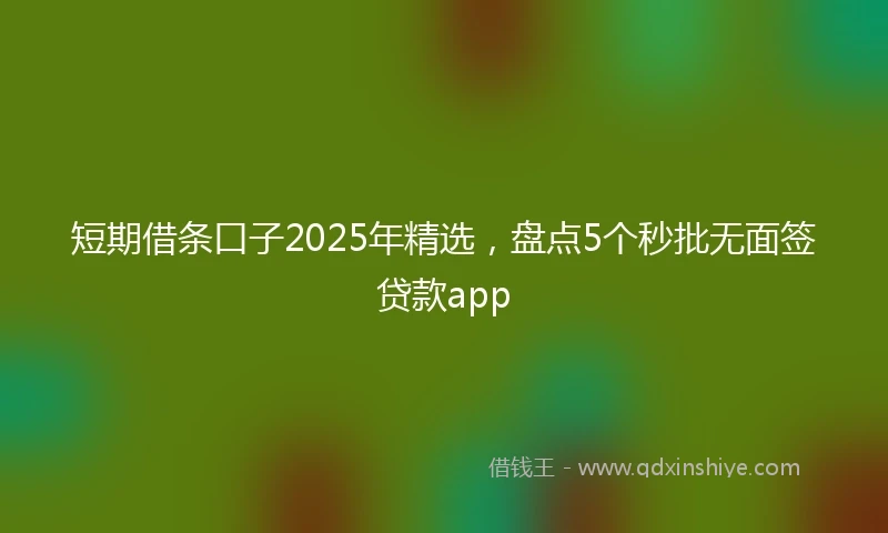 短期借条口子2025年精选，盘点5个秒批无面签贷款app