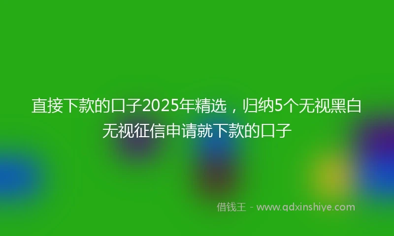 直接下款的口子2025年精选，归纳5个无视黑白无视征信申请就下款的口子