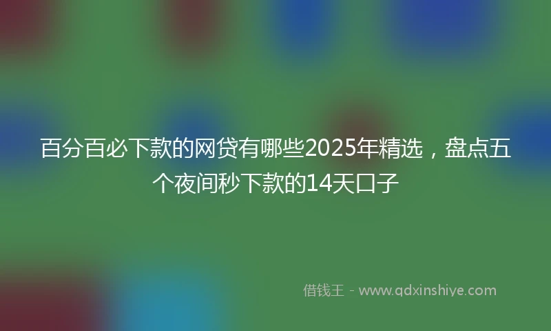 百分百必下款的网贷有哪些2025年精选，盘点五个夜间秒下款的14天口子