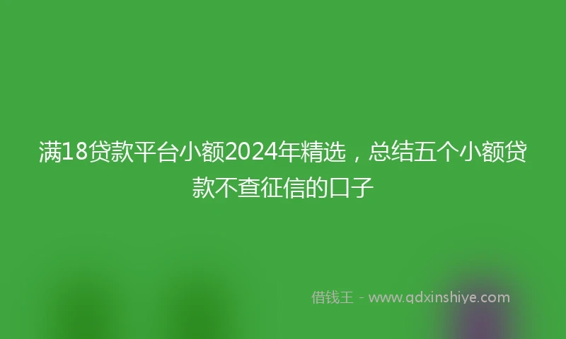 满18贷款平台小额2024年精选，总结五个小额贷款不查征信的口子