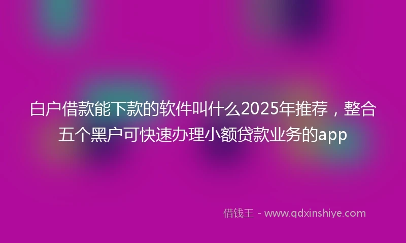 白户借款能下款的软件叫什么2025年推荐，整合五个黑户可快速办理小额贷款业务的app