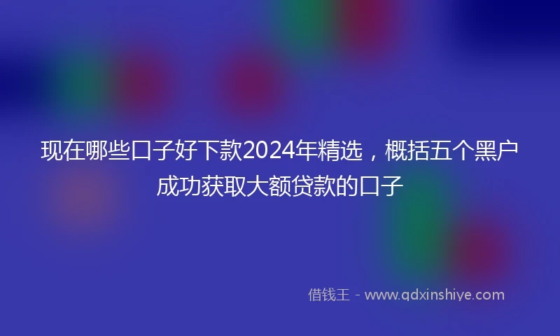 现在哪些口子好下款2024年精选，概括五个黑户成功获取大额贷款的口子