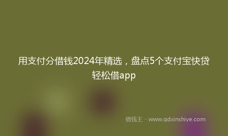 用支付分借钱2024年精选，盘点5个支付宝快贷轻松借app