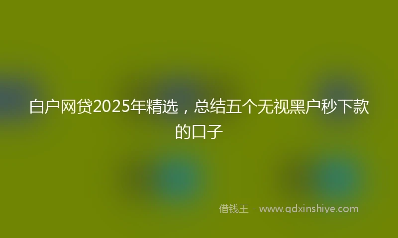 白户网贷2025年精选，总结五个无视黑户秒下款的口子