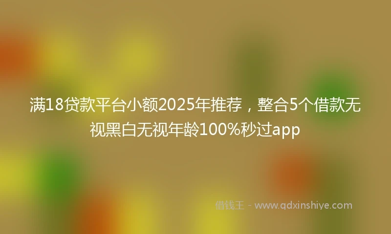满18贷款平台小额2025年推荐，整合5个借款无视黑白无视年龄100%秒过app