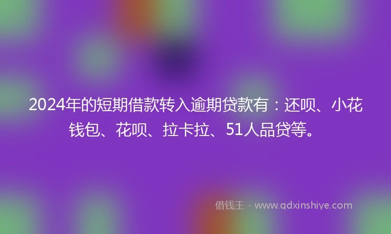 2024年的短期借款转入逾期贷款有：还呗、小花钱包、花呗、拉卡拉、51人品贷等。