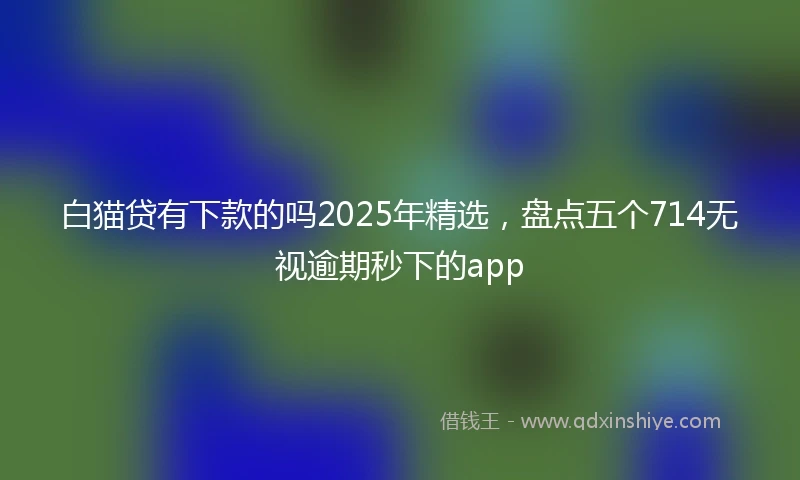 白猫贷有下款的吗2025年精选，盘点五个714无视逾期秒下的app