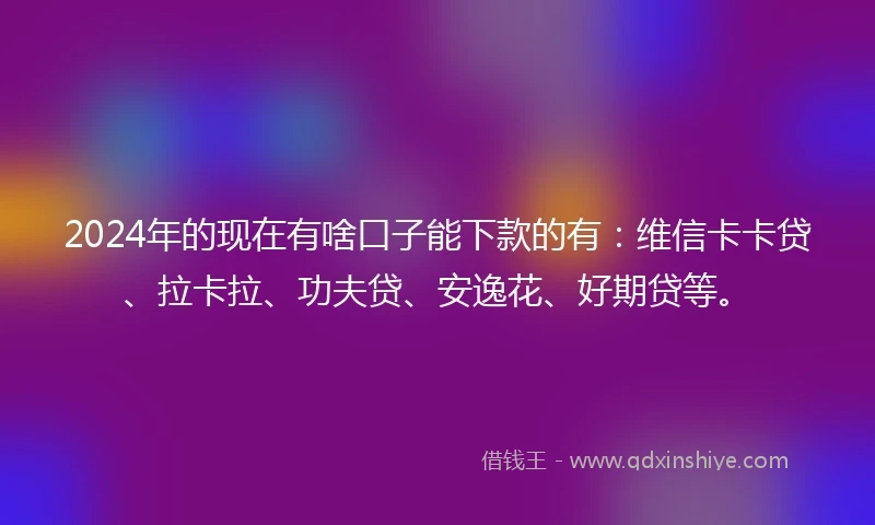2024年的现在有啥口子能下款的有：维信卡卡贷、拉卡拉、功夫贷、安逸花、好期贷等。